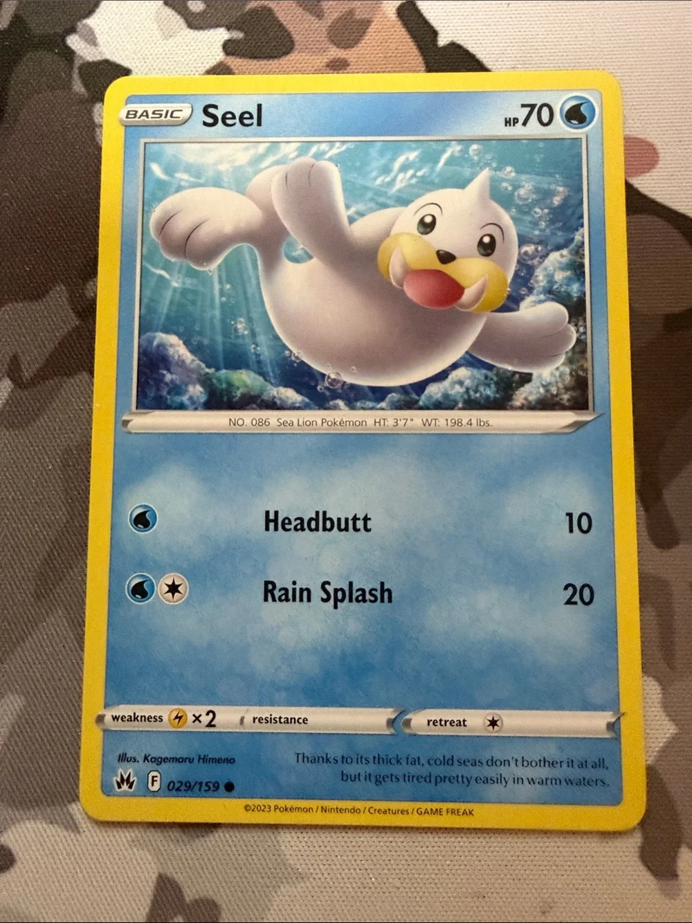 Seel & Dewgong Evolution Line Lot | 3 Pokémon Cards | ✨5/$25✨